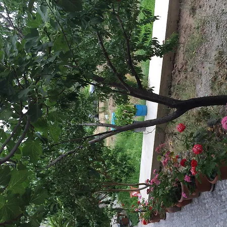 Hotel Sivrice Tas Assos