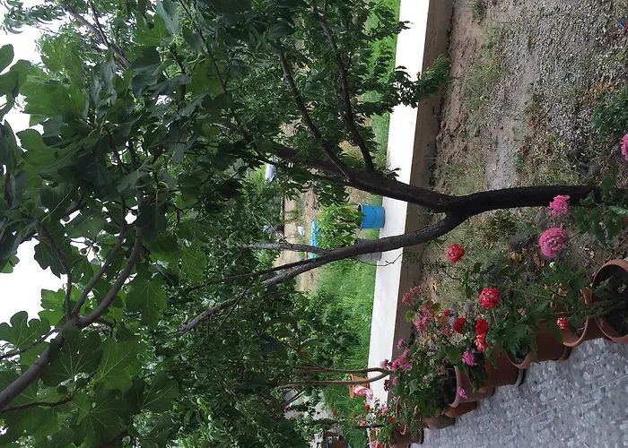 Hotel Sivrice Tas Assos